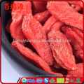 Las semillas de Goji goji berry donde comprar bayas frescas de goji